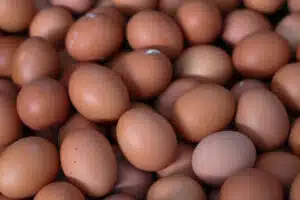 Kananmunia